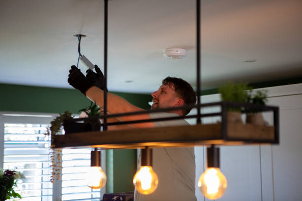 Best Electrician for Home Renovation  in Ozk, AR